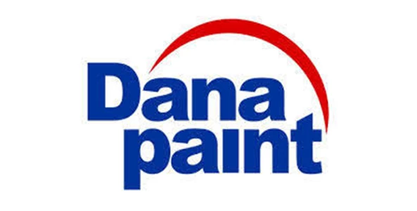 Our Client - Dana Paint