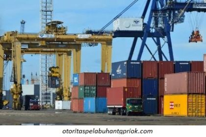 Ini Syarat yang Diminta Bea Cukai agar E-Commerce Bisa Impor dengan Mudah